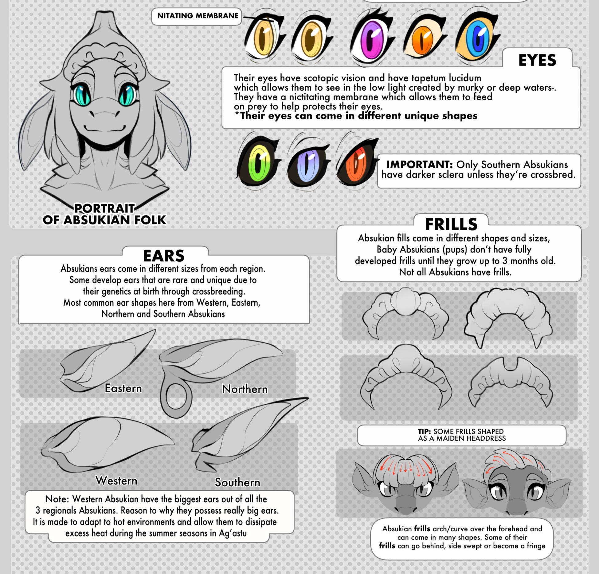 Eyes, ears, frills and head