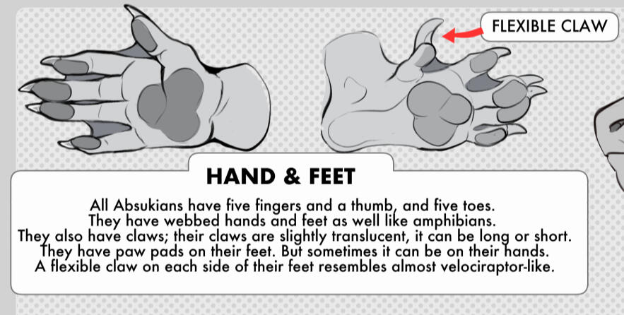 Hand and Feet