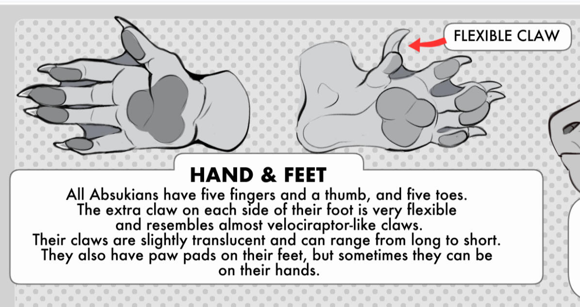 Hand and Feet